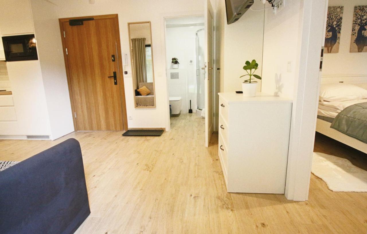 Apartment BazaTatry Kozica Zakopane Zewnętrze zdjęcie